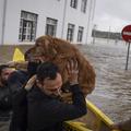 Poplave