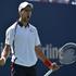 novak đoković us open polfinale
