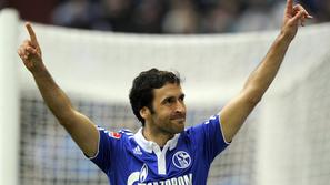 schalke raul