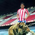 Falcao tiger Atletico Madrid Vicente Calderon Lorelei Dahiana kletka