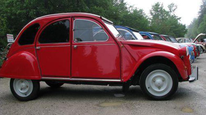 Vsak lastnik si avtomobil priredi vsaj malce po svoje. Zato je barv veliko, ured