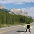 Hitchbot