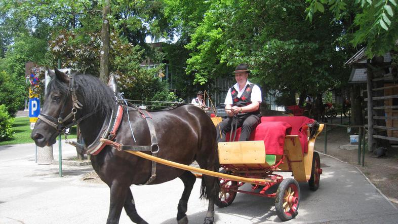 Pare, ki se bodo poročili na Grajski poroki, bodo po Bledu in okoliških vaseh vo