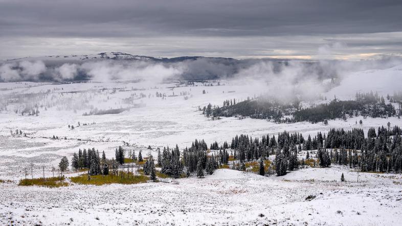 zima mraz zmrzal nizke temperature slana ivje