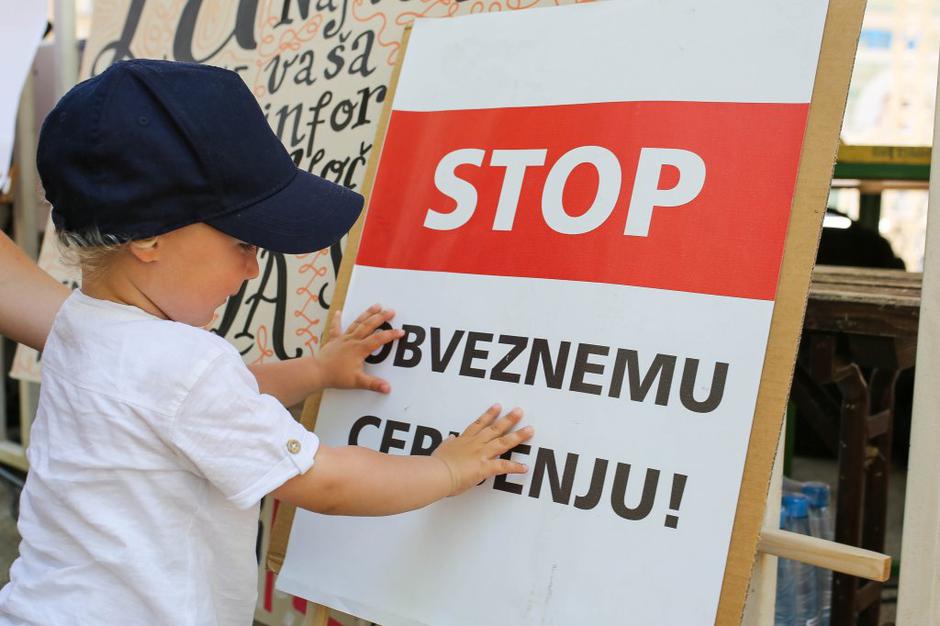 cepljenje | Avtor: Saša Despot