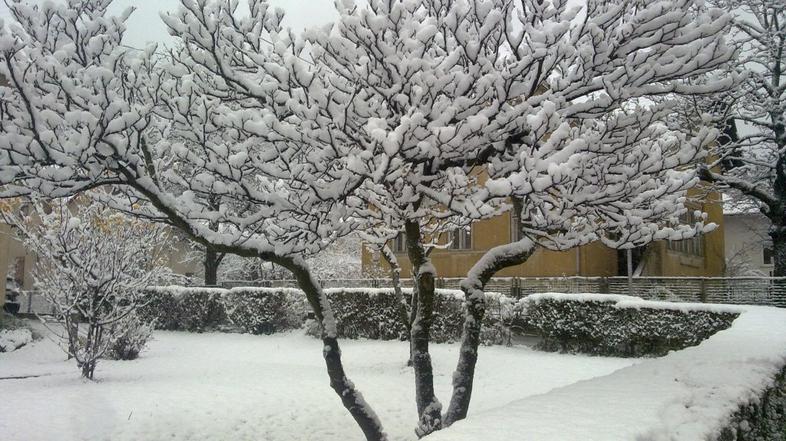 Sneg v Koroški Beli