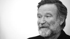 robin williams