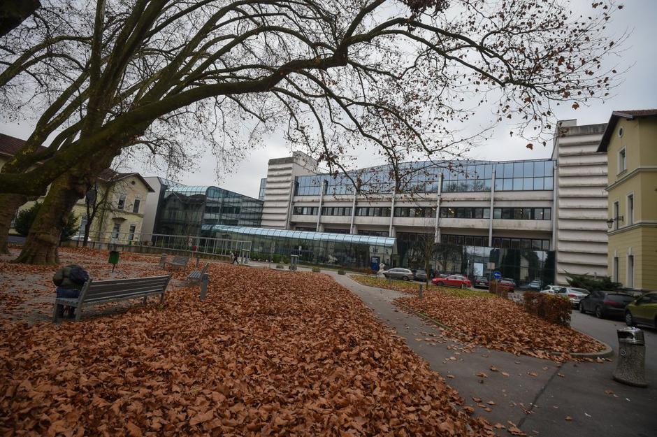 listje | Avtor: Anže Petkovšek