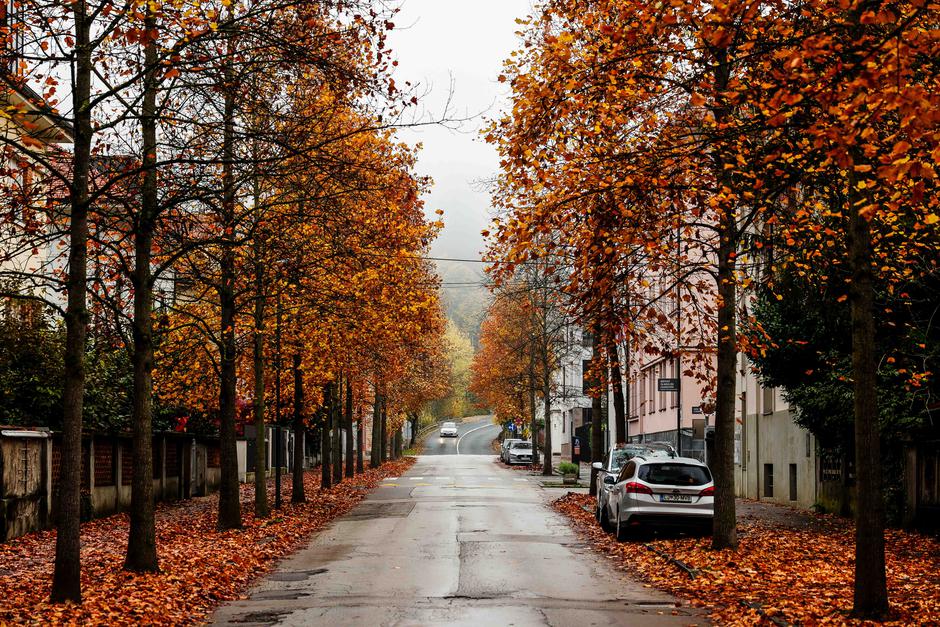 ulica, jesen, jesenske barve | Avtor: Saša Despot