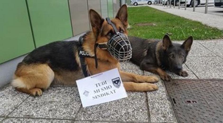 Tudi mi smo sindikat | Avtor: SPS