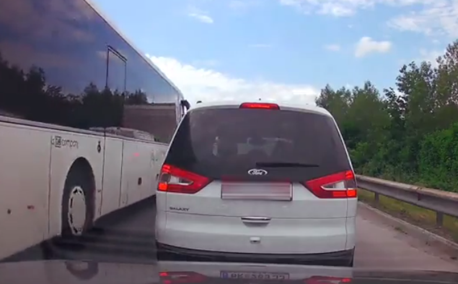 Reševalni pas, zloraba | Avtor: Twitter/Reševalni pas