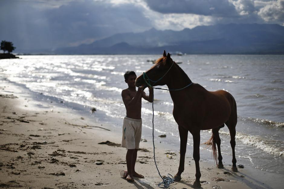 East Nusa Tenggara | Avtor: Epa