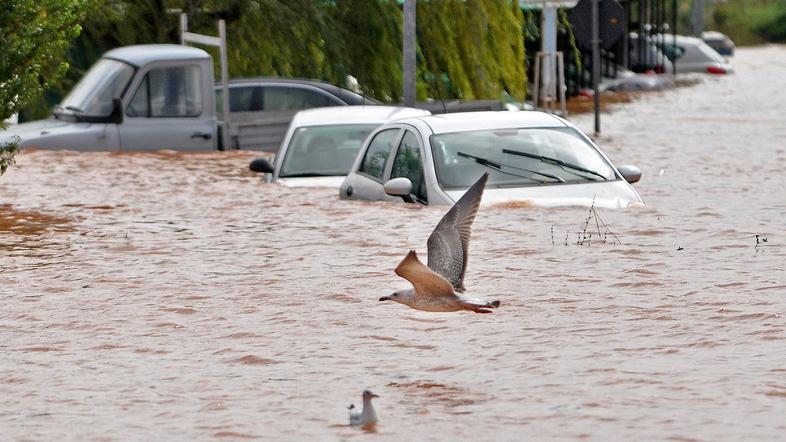 Galeb v središču Umaga. Poplave so prizadele predvsem mestno jedro in ne naselij