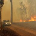Večino požarov so zanetile strele. (Foto: AFP)