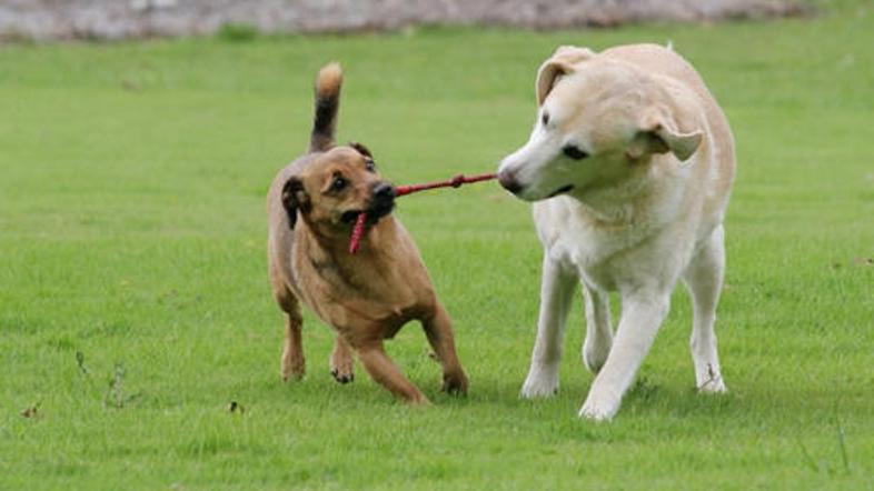 Na Občino Medvode so po sprejetem odloku dobili predlog za ograjen prostor, name