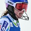 Andreja Slokar