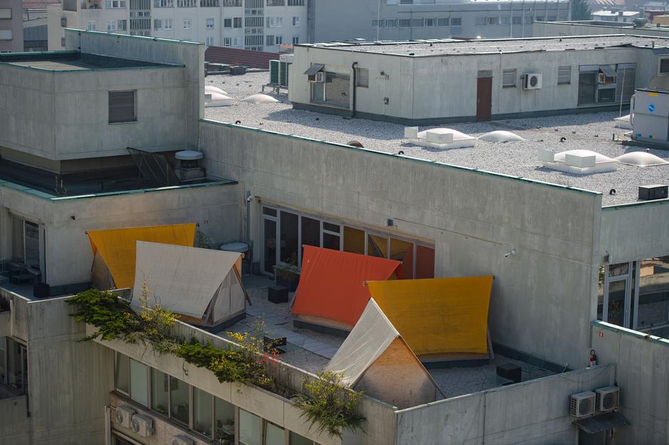 Ibis styles | Avtor: Anže Petkovšek