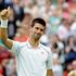 Djoković Đoković Štepanek Wimbledon OP Velike Britanije tenis tretji krog