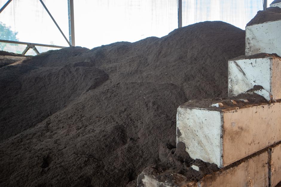 Rcero Ljubljana | Avtor: Anže Petkovšek