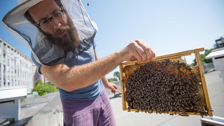 Peter Pečenko, urbani čebelar.