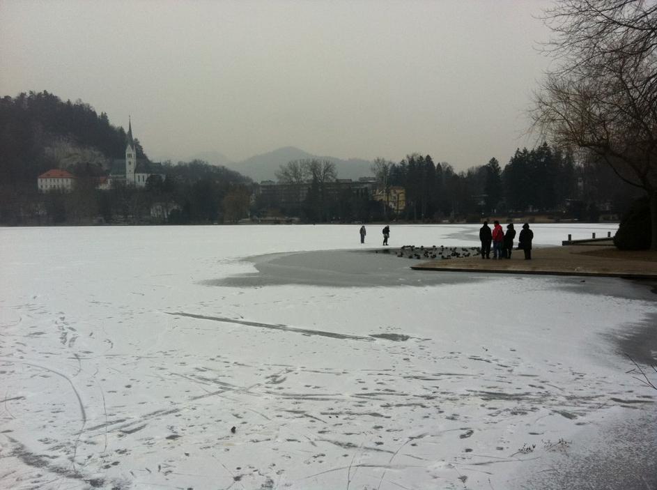 Zamrznjeno Blejsko jezero