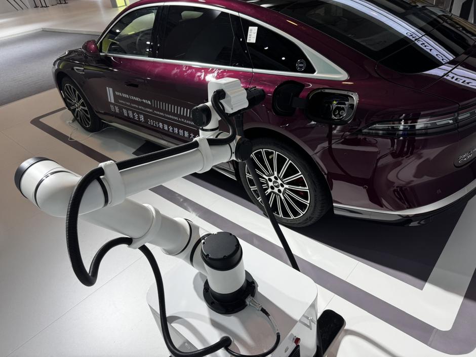 Chery globalni dan | Avtor: Andrej Leban