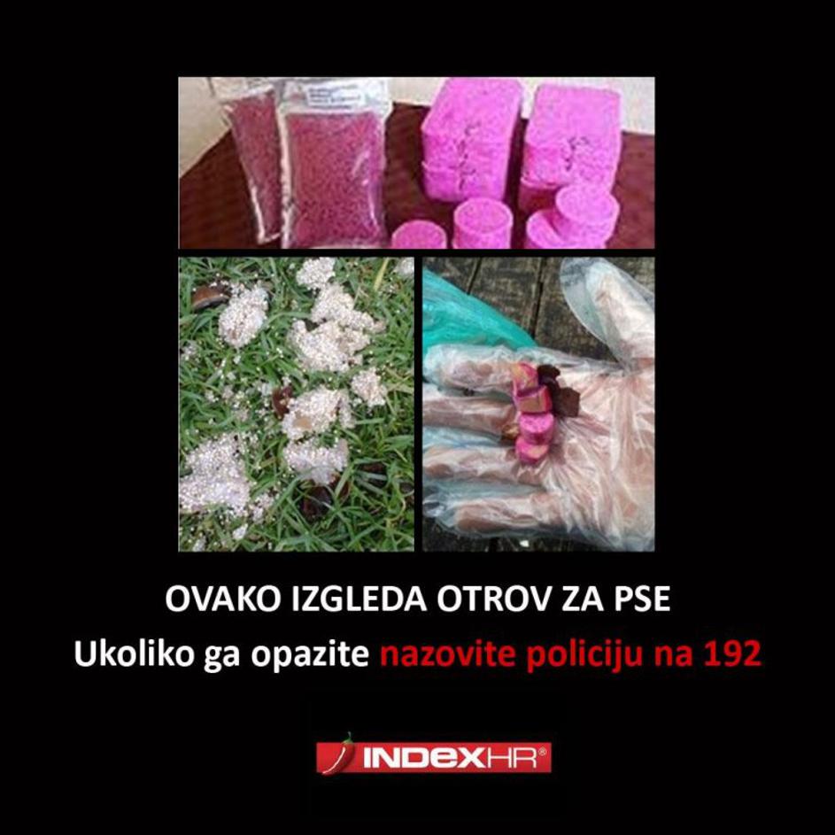 Zatrupljanje psov v Zagrebu