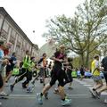 Ljubljanski maraton 2013