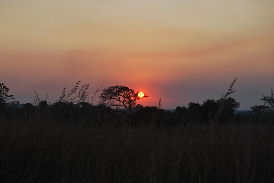 Maja Golob | Avtor: Maja Golob