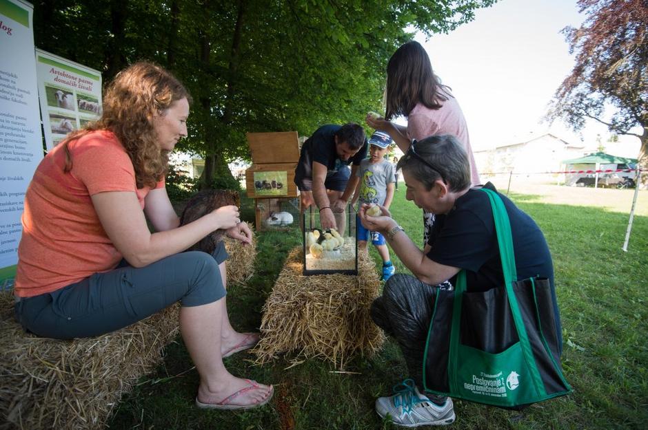 festival za ljubitelje živali | Avtor: Anže Petkovšek