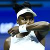 venus williams