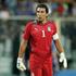  italija  slovenija despot buffon