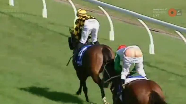 blake shinn