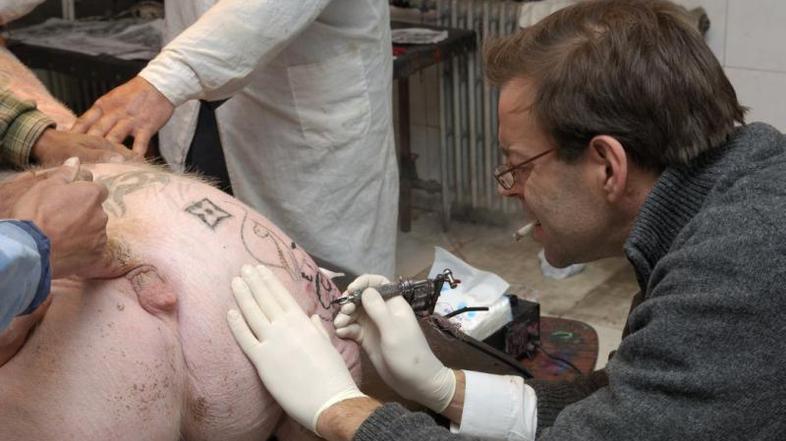 Tetoviranje prašičjih zadnjic je dobra vaja, meni Delvoye. 