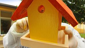 Žurnalovo barvanje igral