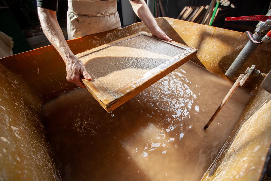 Paplab predelava invazivnih rastlin v papir | Avtor: JP Voka Snaga