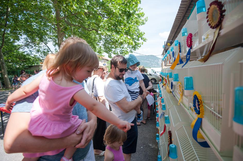 Festival za ljubitelje živali v Novi Gorici