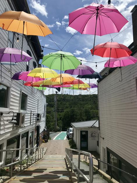 poletno delo v Združenih državah Amerike