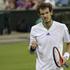 Andy Murray