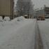 Sneg v Kočevju