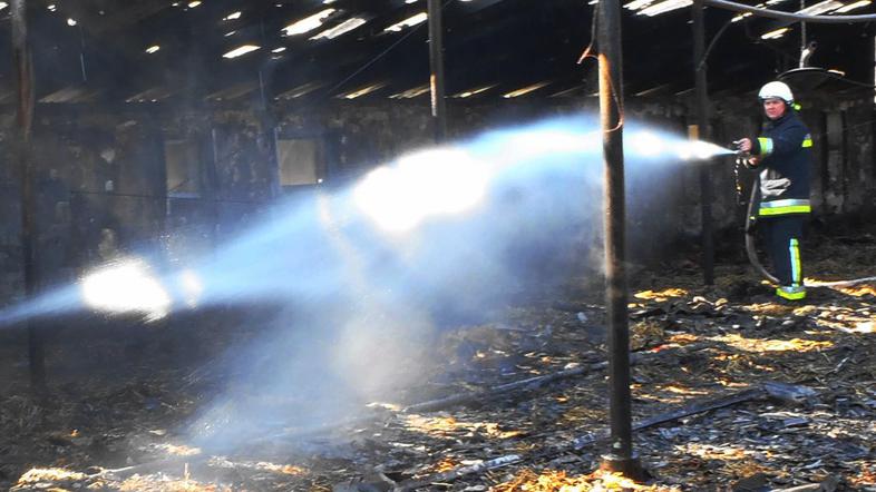 požar, farma piščancev, Hajdina, Ptuj