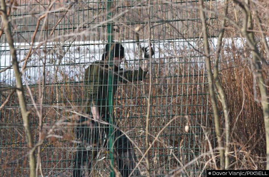 Panelna ograja na meji Slovenije in Hrvaške