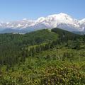 Poletni kaos se bo kmalu končal, Mont Blanc ostaja veličasten, ljubitelji gora p