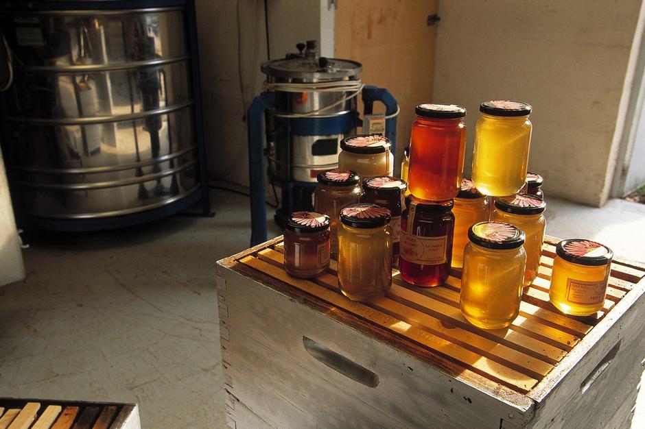 med | Avtor: Profimedia