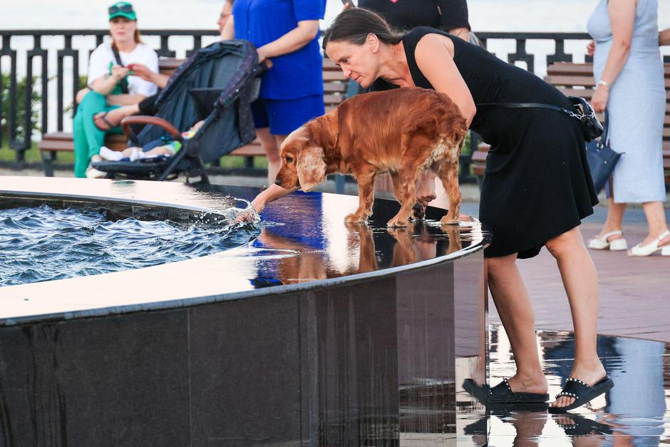 vročinski val vročina | Avtor: Profimedia