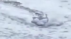 Pošast na Islandiji