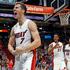 goran dragić miami heat