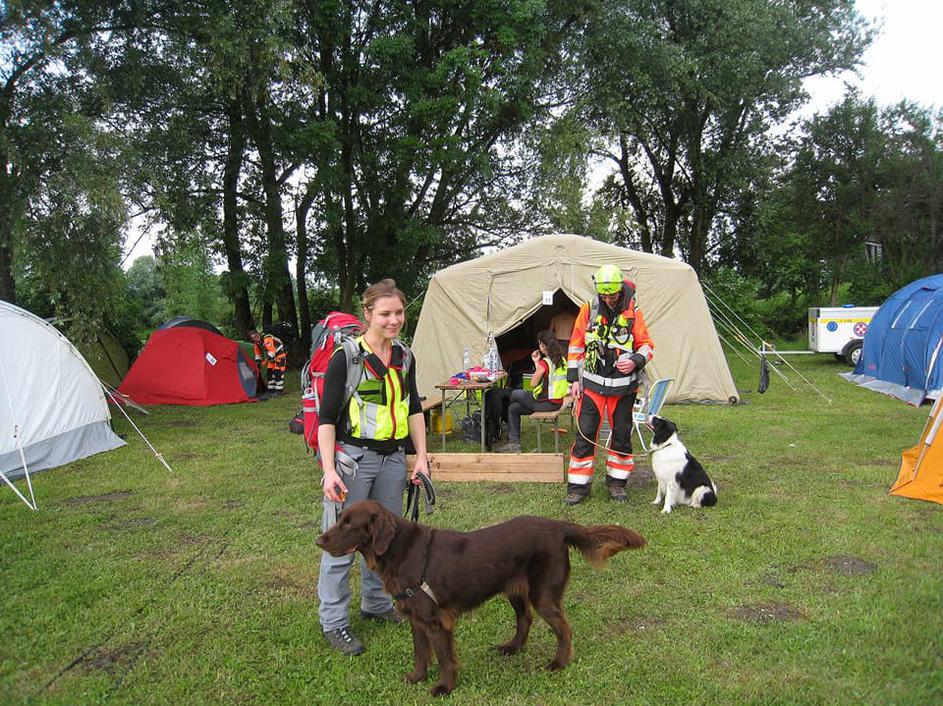 reševalna akcija - psi