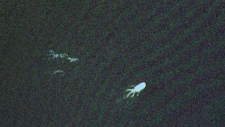 Satelitski posnetki nenavadnega obrisa na gladini Loch Nessa