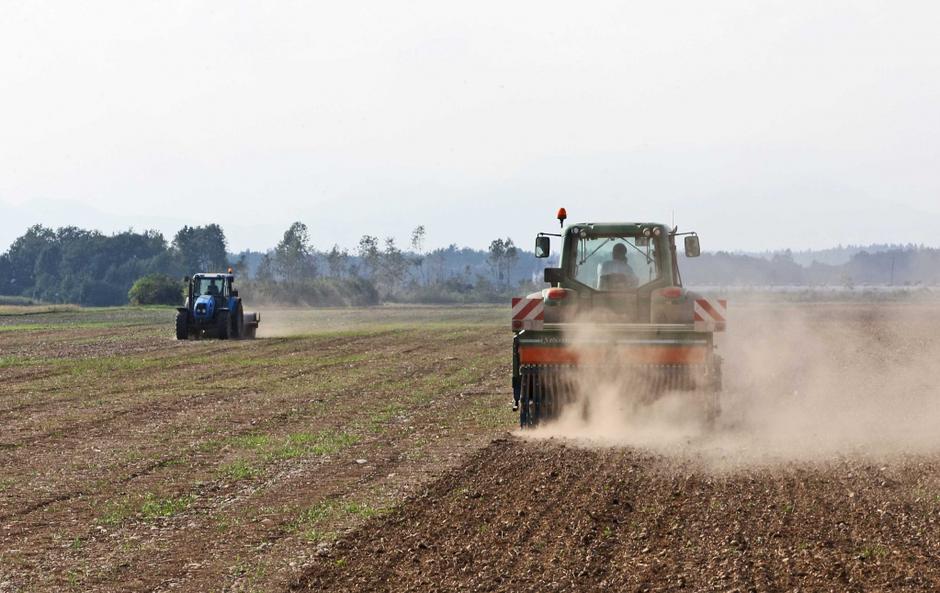 Kmetijstvo | Avtor: Saša Despot